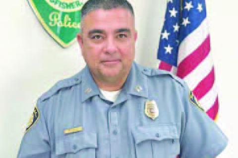 Interim police chief named